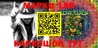 spice Обь