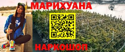 spice Обь