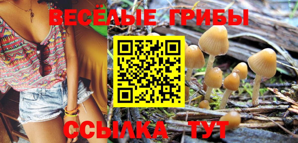 Псилоцибиновые грибы Psilocybe  Вход с VPN  Галлюциногенные грибы Psilocybine cubensis  Рославль 